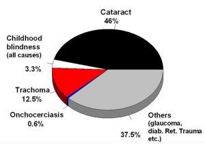 Global Blindness
